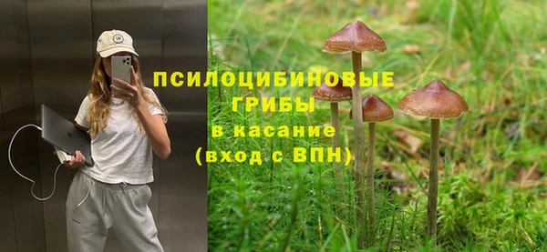 стафф Абинск