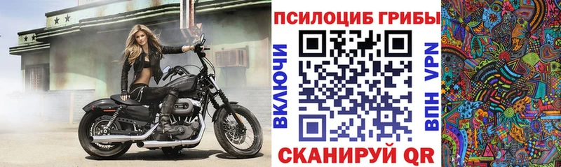 Псилоцибиновые грибы GOLDEN TEACHER Мостовской